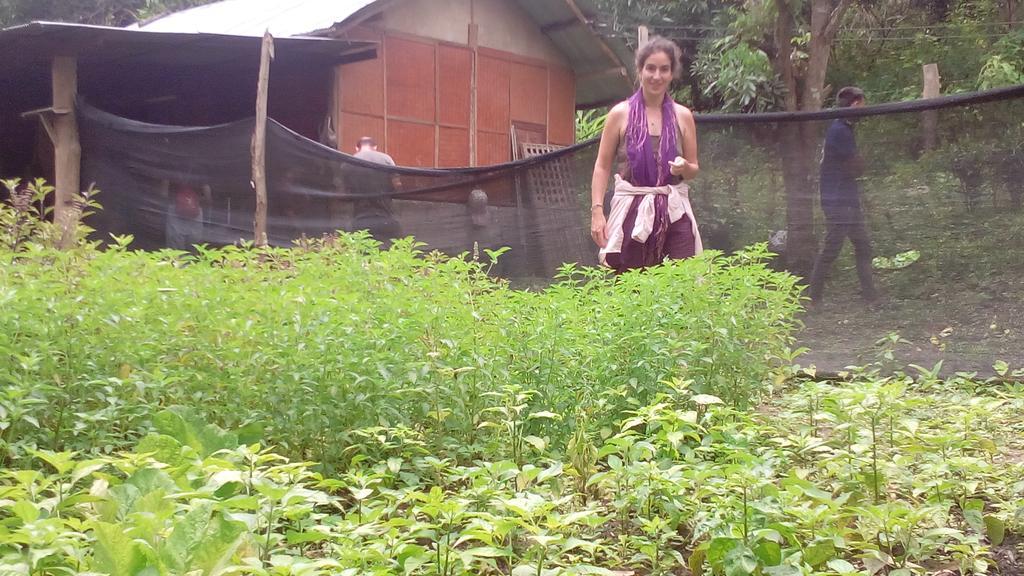 The Local Story Resort Ban Mon Talaeng Екстериор снимка